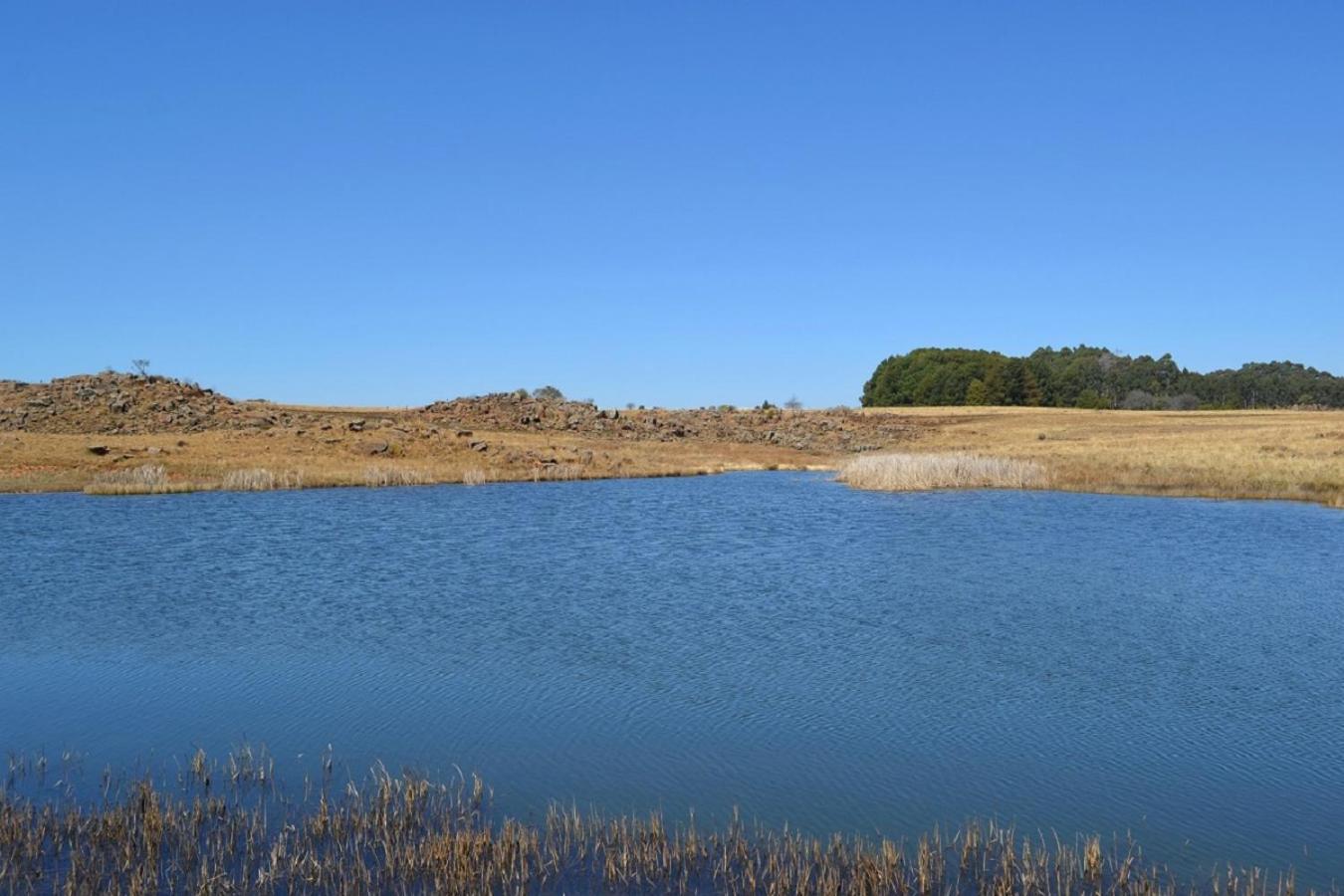 Berryfields Daire Dullstroom Dış mekan fotoğraf