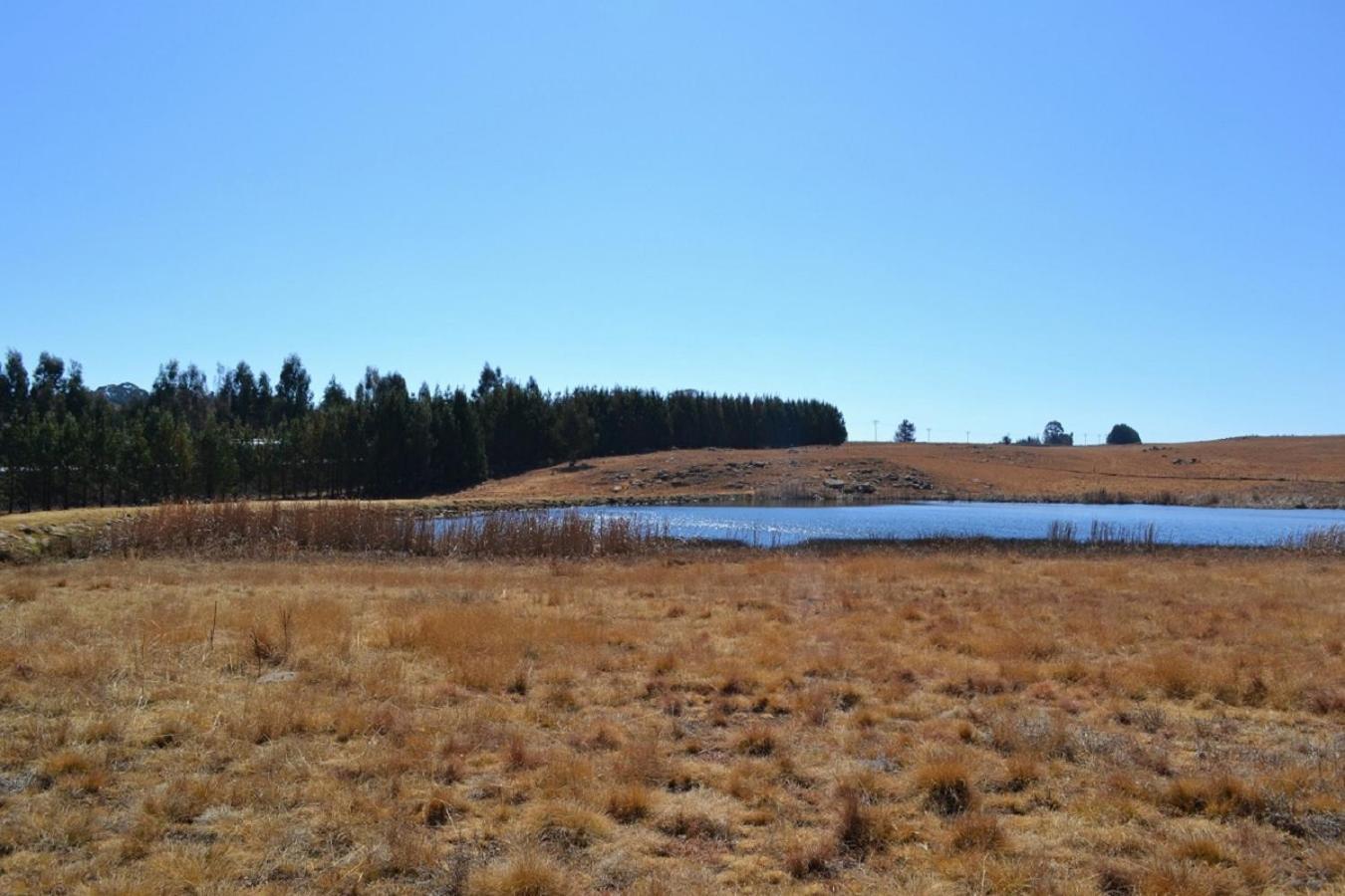 Berryfields Daire Dullstroom Dış mekan fotoğraf