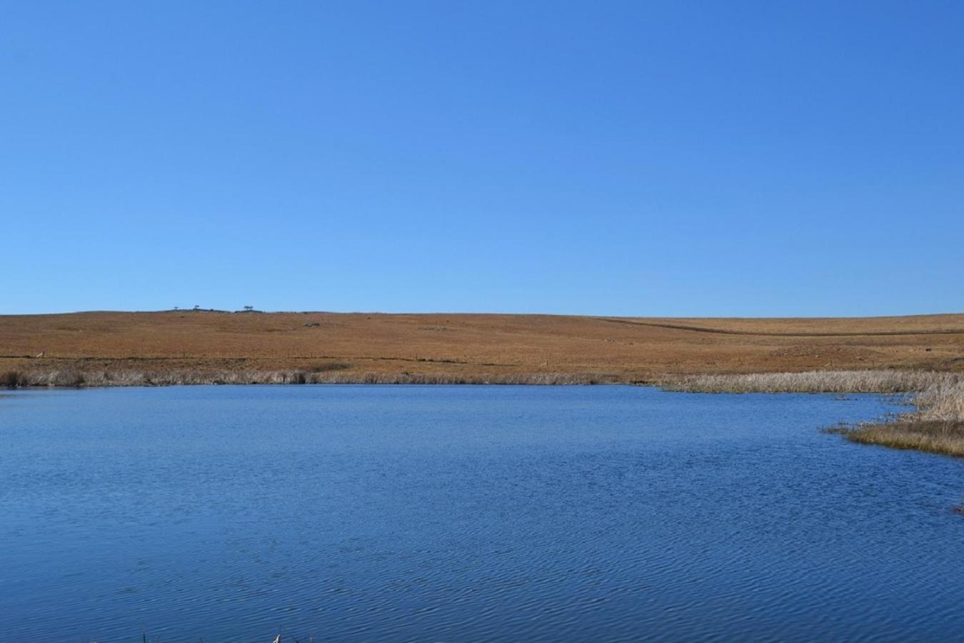 Berryfields Daire Dullstroom Dış mekan fotoğraf